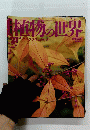 植物の世界　2021年9/4号　クマツヅラムラサキ