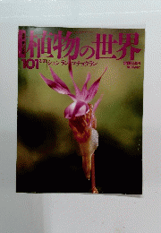 植物の世界　101