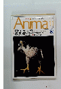 Anima　1991年11月12日発行