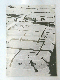 川合遺跡　１９８６年