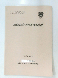 角森遺跡発掘調査報告書 1994年3月