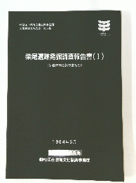 柴尾遺跡発掘調査報告書 1  1994.3