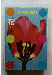 新訂版 花 [学研の図鑑) 