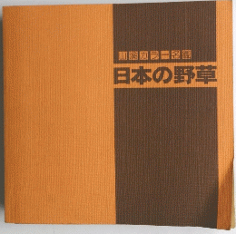 日本の野草