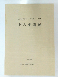 上の平遺跡　愛知県埋蔵文化財センター調査報告書 第41集