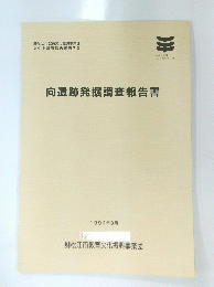 向遺跡発掘調査報告書