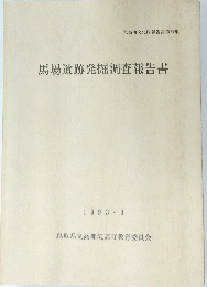 馬場遺跡発掘調査報告書　1993年3月号　