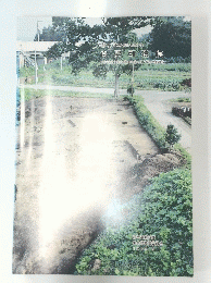 白沢江遺跡