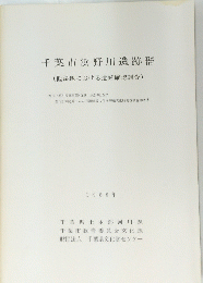 千葉市浜野川遺跡群　1988年