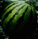 kansai 涼を求める夏宿へ  8月号