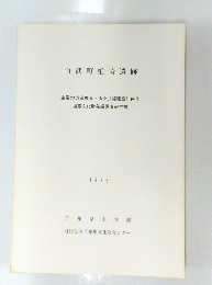 山武町椎崎遺跡 1988