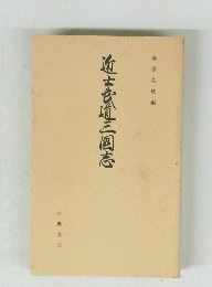 近士武道三国志