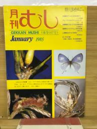 月刊むし　1985年1月号　167号