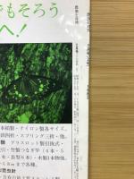 昆虫と自然　Vo.l17　No.2　1982年2月号