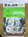 昆虫と自然　1982年12月号　Vol.17 No.13