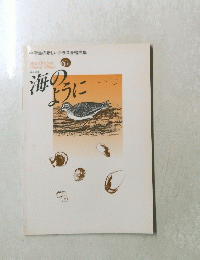 海のように　中学生の新しいクラス合唱曲集