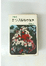 さつき栽培の仕方