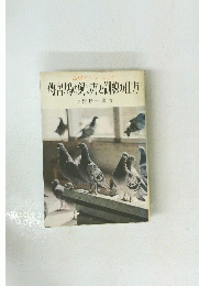 傳書鳩の飼い方と訓練の仕方