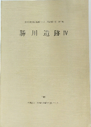 勝川遺跡 4 