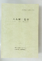 八木岡Ⅰ 遺跡 1998年3月号