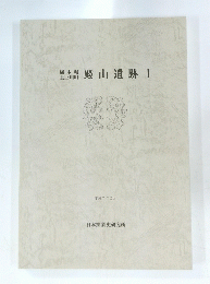 殿山遺跡 I　平成7年2月