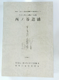 港北ニュータウン地域内埋蔵文化財調査報告 23　西ノ谷遺跡　1997