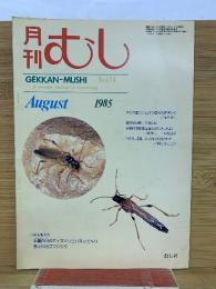 月刊むし　1985年8月号　174号