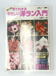 見てわかるやさしい洋ラン入門