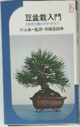 豆盆栽入門