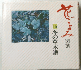 花ごよみ　15 冬の草木譜