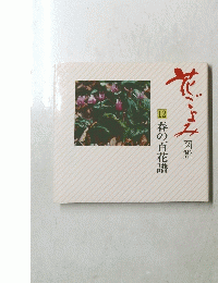 花ごよみ 図譜 12春の百花譜