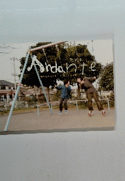 Andante