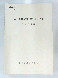 埼玉県埋蔵文化財調査年報　１９９４年