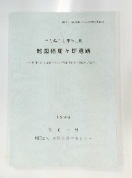 蛇園猪々野遺跡　１９９６年