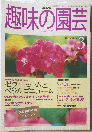 NHK趣味の園芸　1999年3月号