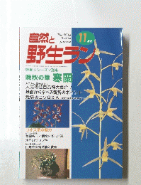 自然と野生ラン 11月号