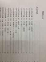 江戸城本丸等障壁画絵様 : 調査研究報告書