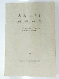 古海古墳群 菖蒲遺跡　1993