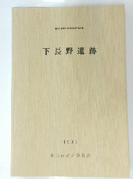 下長野遺跡　1993年