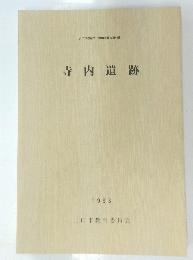 寺内遺跡　1993年