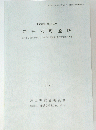 岩井安町遺跡　１９９５年