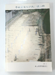 平城京左京四条二坊一坪　1987.3