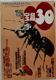 宝島 30 1994年12月号