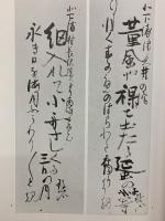 河東碧梧桐 : 俳句と書
