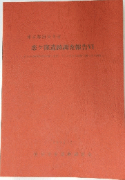 恋ケ窪遺跡調査報告VI