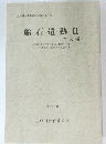船石遺跡　1989年3月