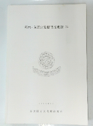 飛鳥・藤原宮発掘調査概報　24　1994年5月号