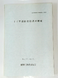 十王堂遺跡発掘調査概要 1994年3月
