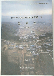 山城町内遺跡発掘調査概報V　蟹満寺　1994年