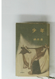 少年